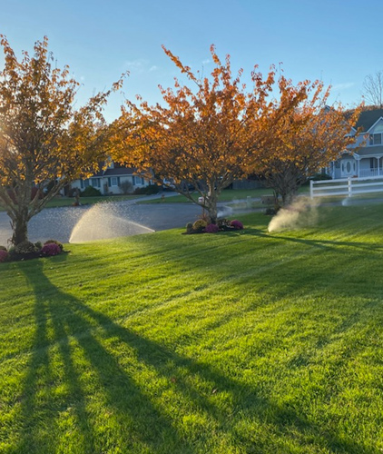 Lawn Chemical Programs