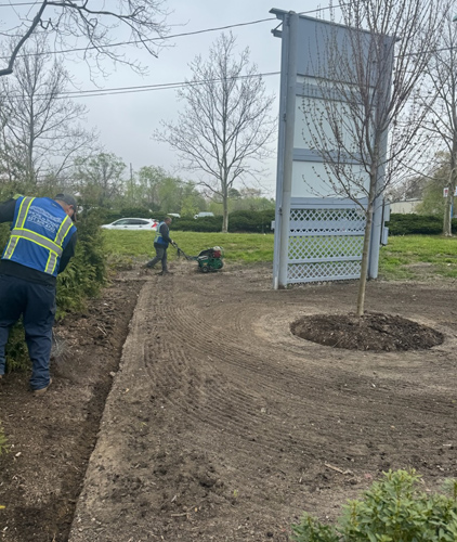 Seeding and Renovation