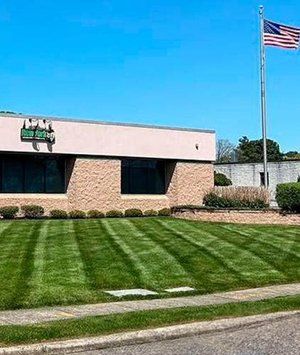 Lawn Maintenance