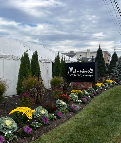 Annual Flowers Displays