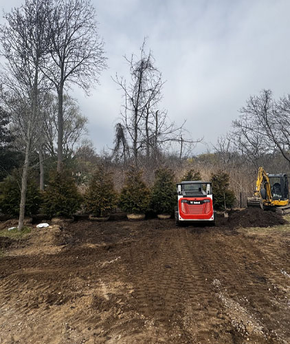 Land Clearing