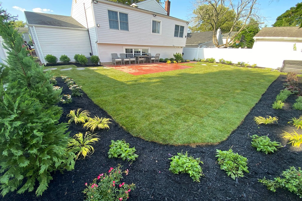 Landscape project