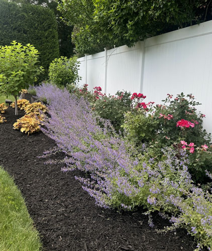Planting & Flower Beds