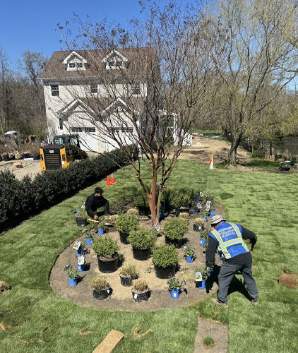 Sod Installation