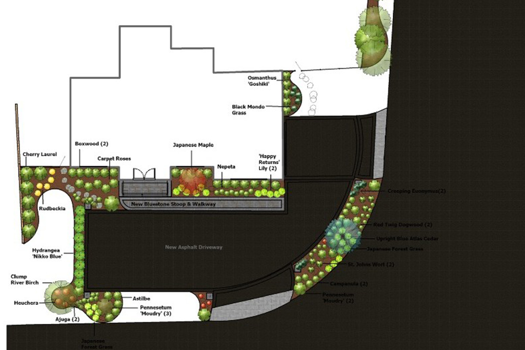 Landscape project