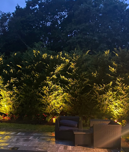 Landscape Lighting