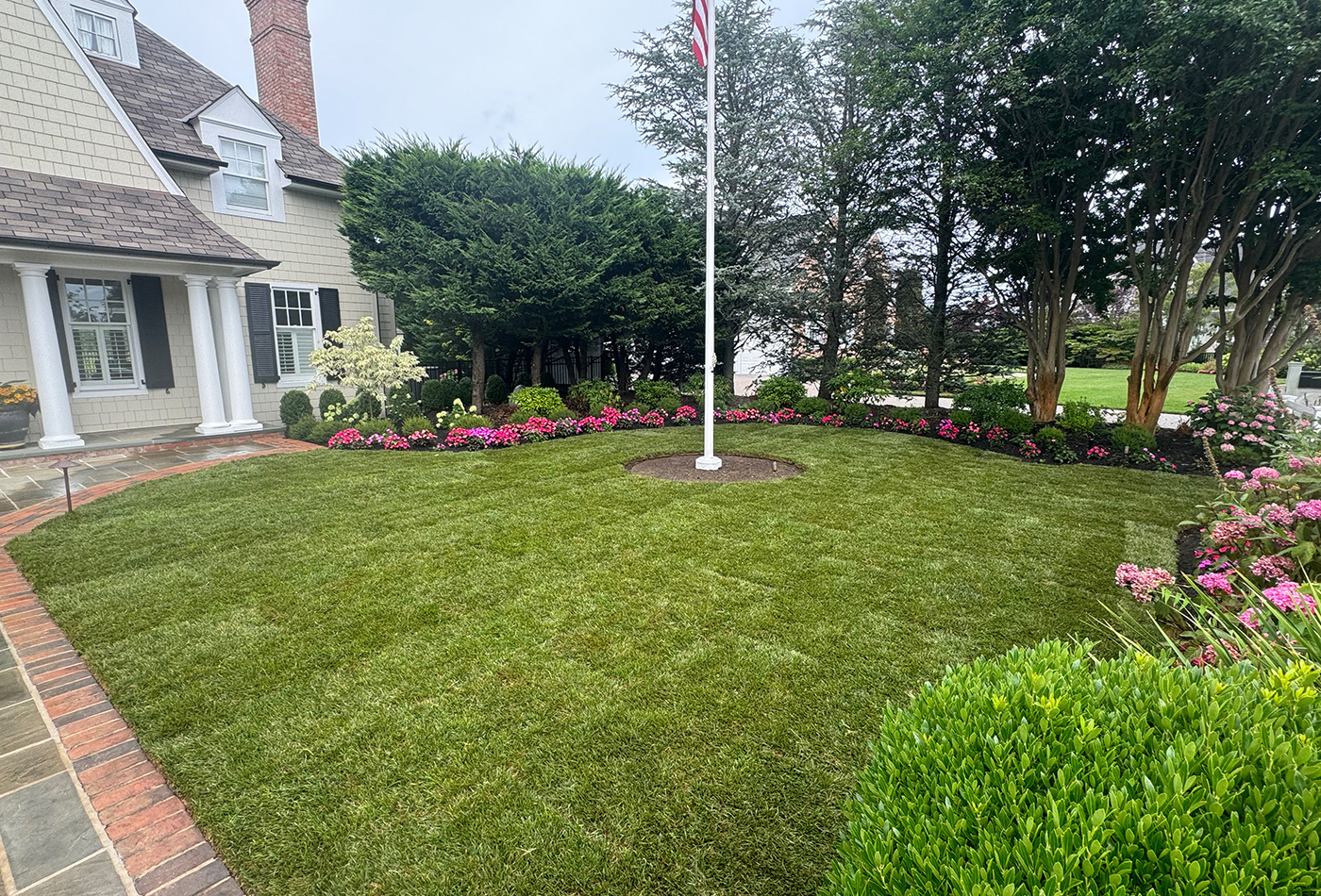Landing Ln - photo 3