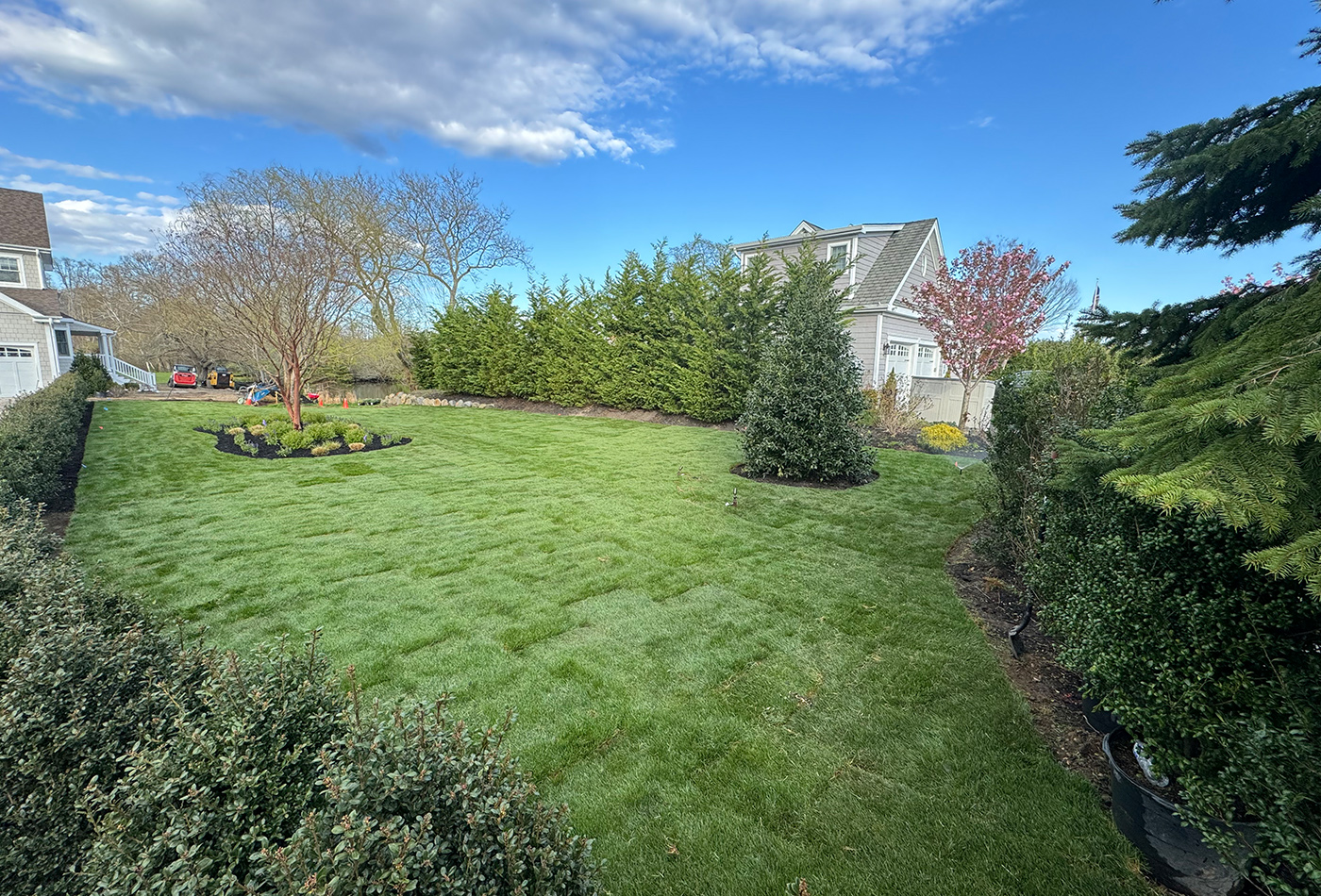 True Harbour Estate - photo 6